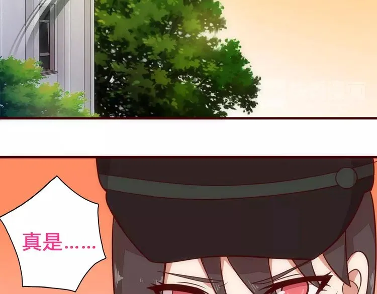 第243页