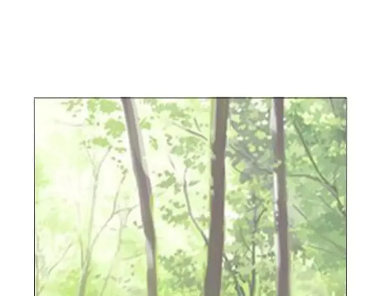 第243页