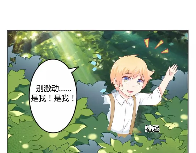 第204页