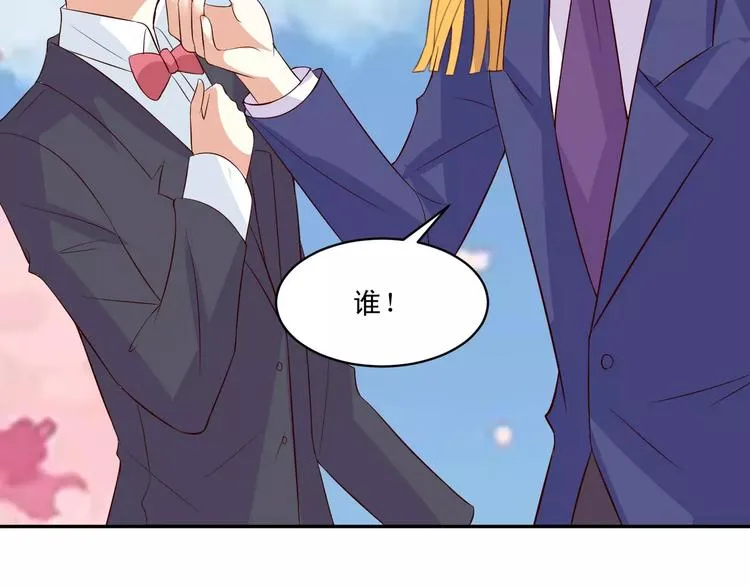 第255页