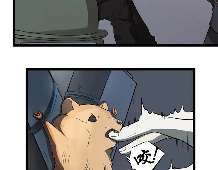 第150页
