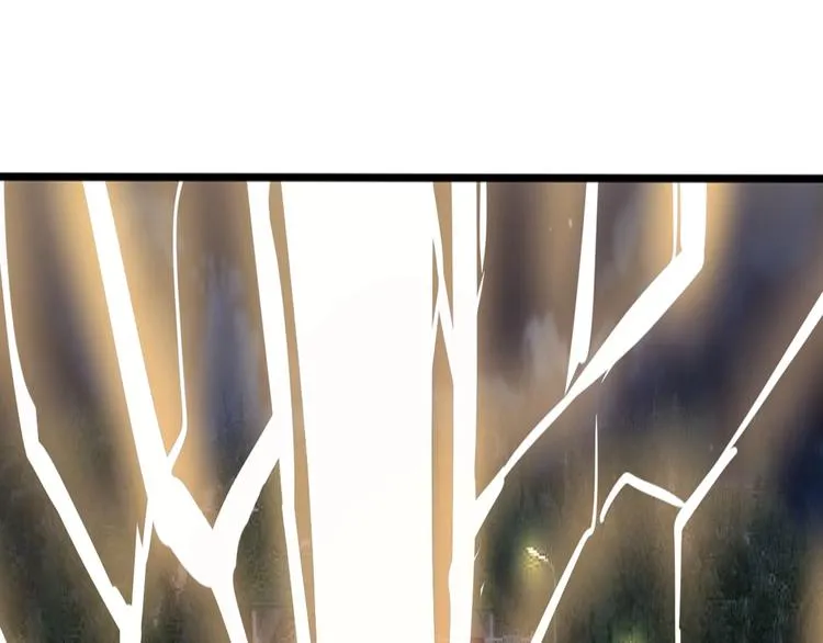 第243页