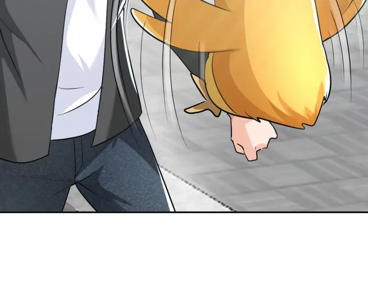 第255页