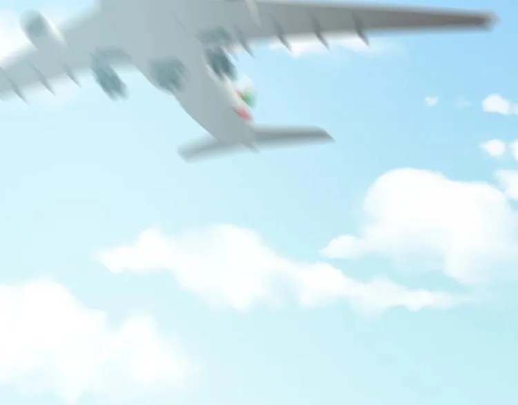 第333页