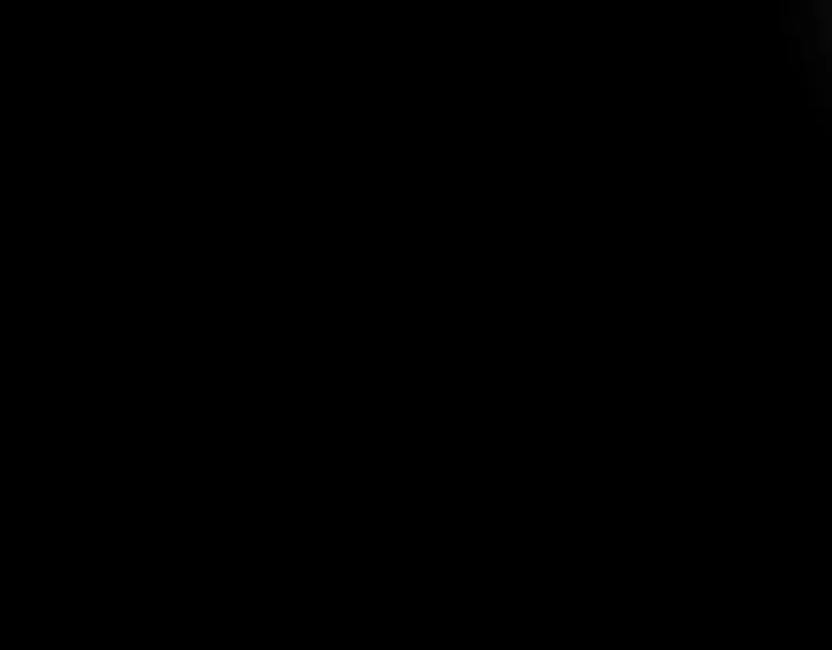 第411页