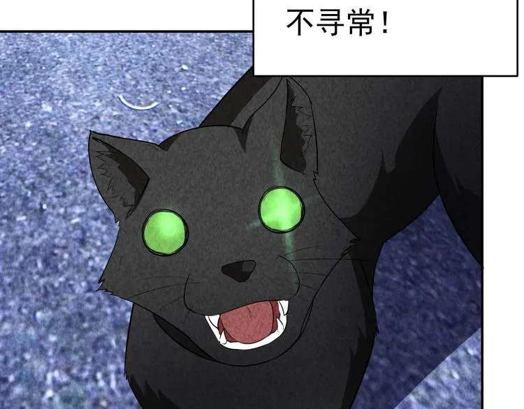 第351页
