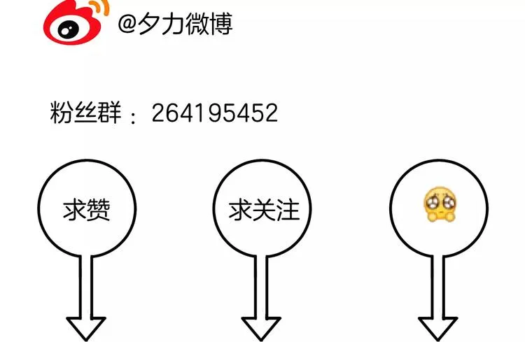 第282页