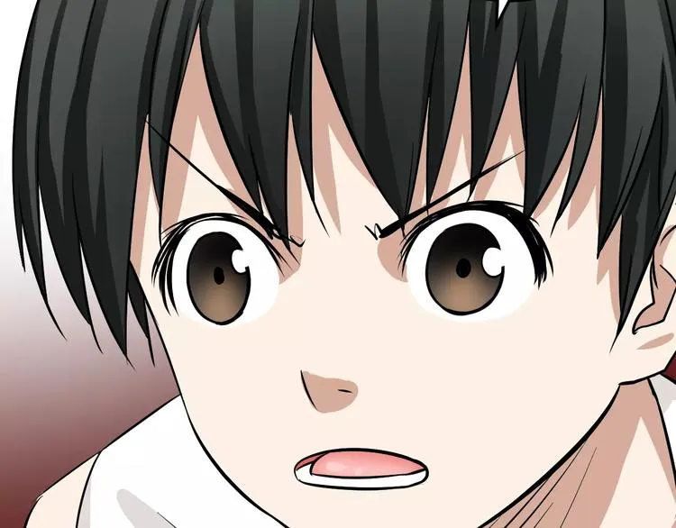 第291页