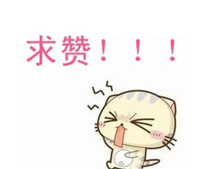 第351页