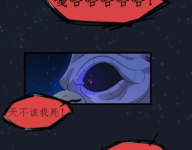 第231页