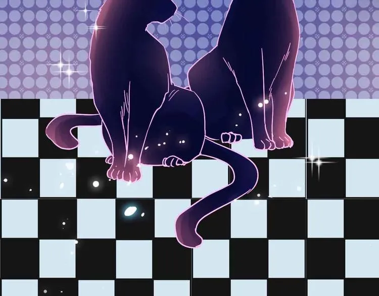 第210页