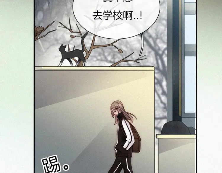 第204页
