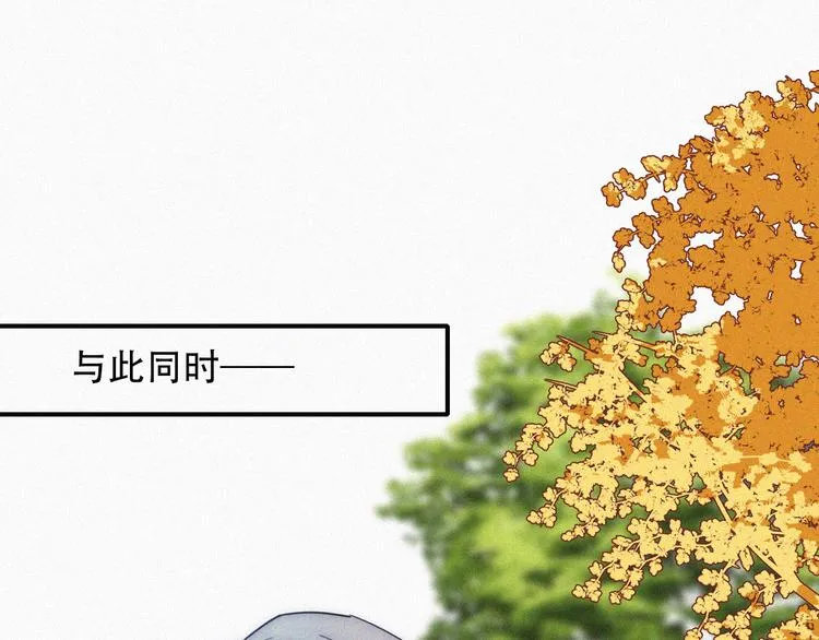 第219页