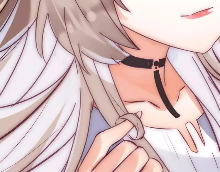 第204页