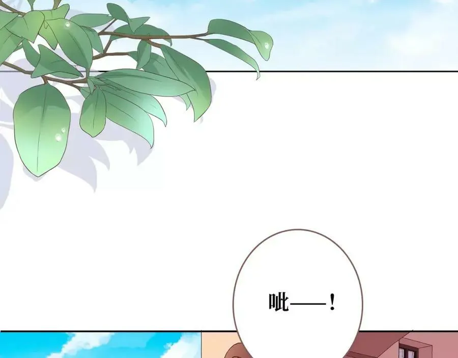 第246页