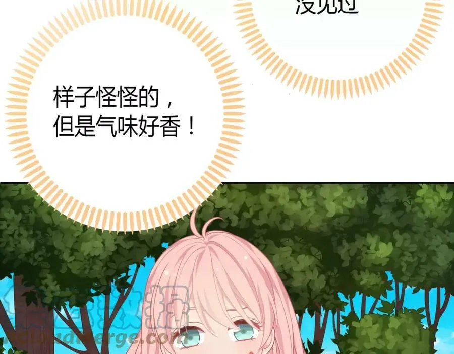 第528页
