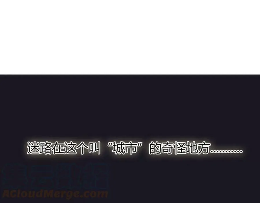 第288页