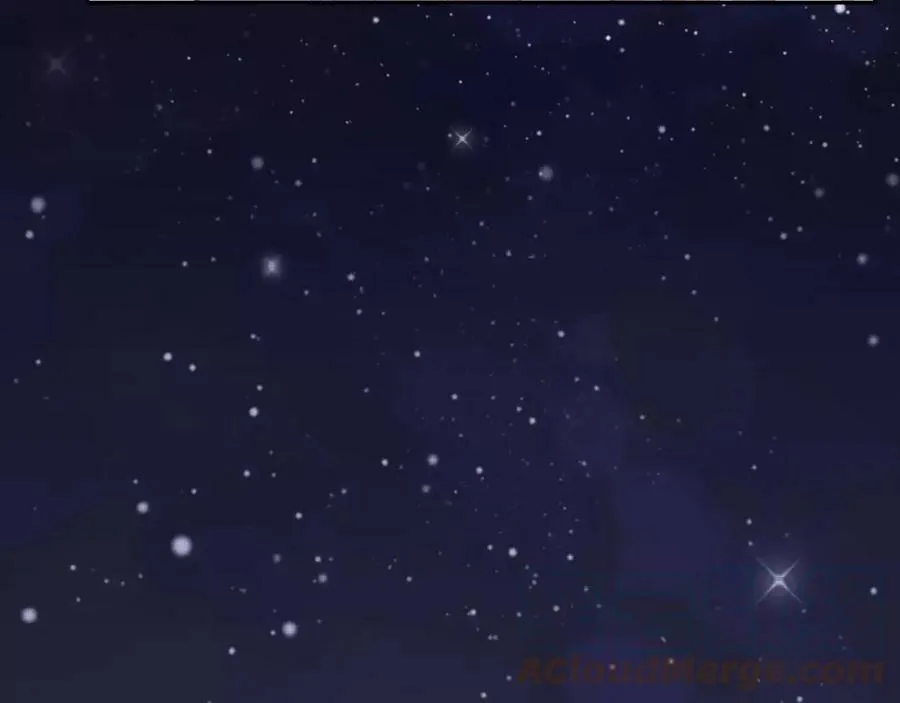 第204页