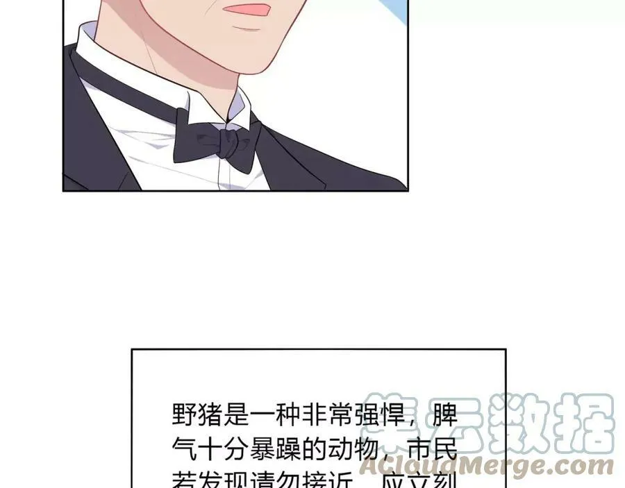 第216页