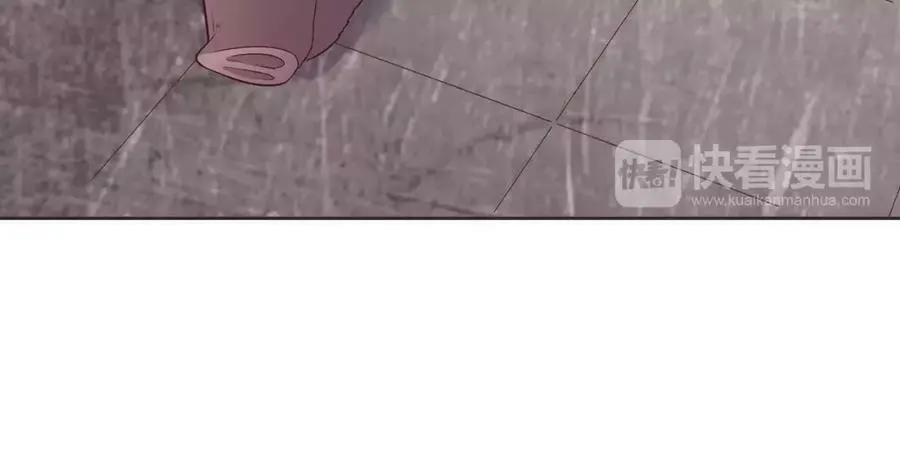 第282页