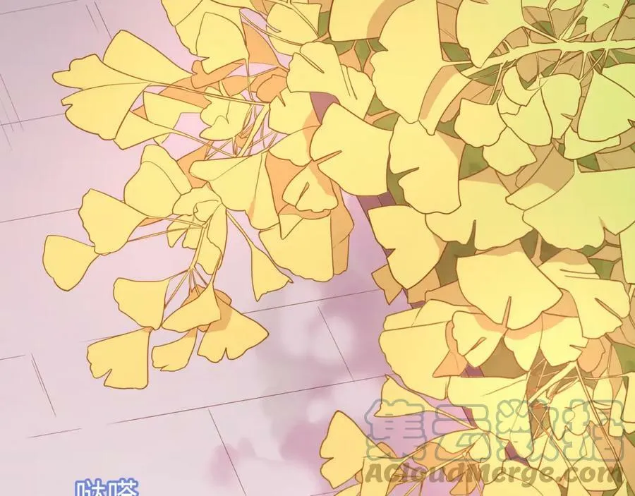 第456页