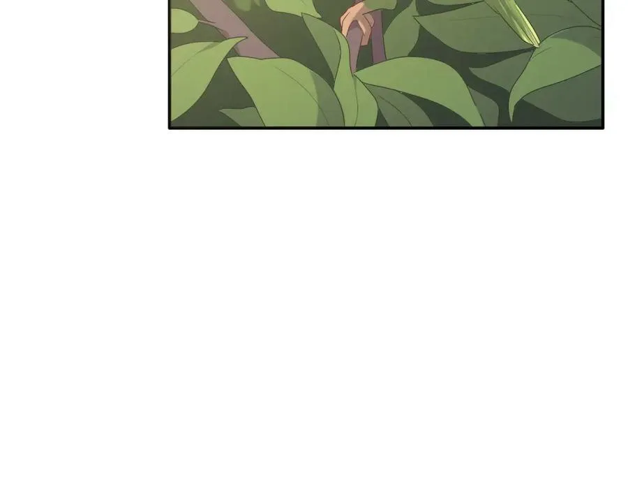 第411页