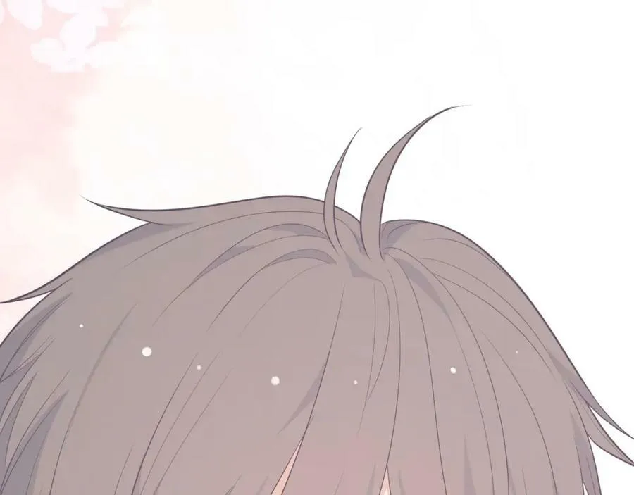 第537页