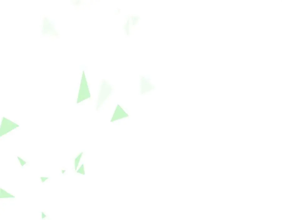 第339页