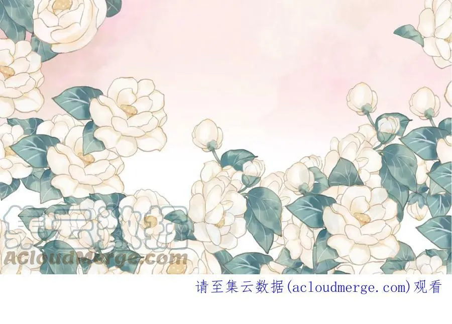 第504页