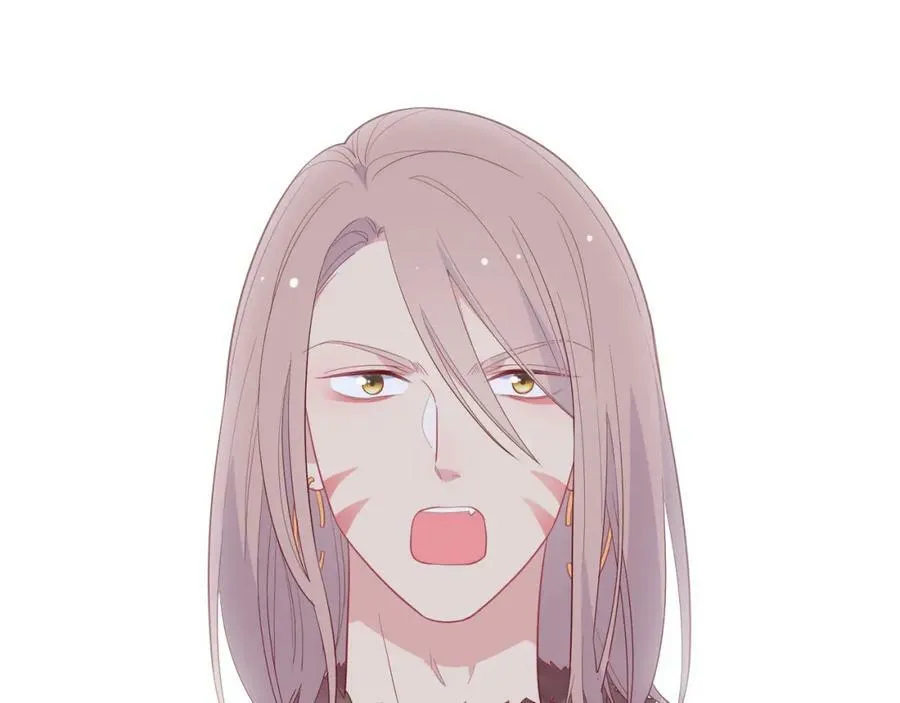 第255页
