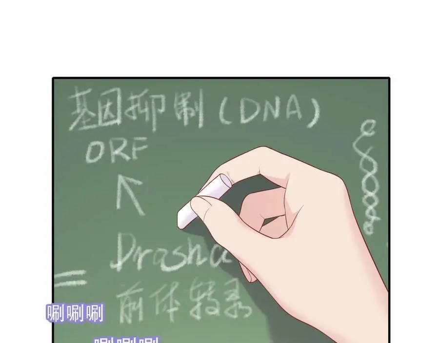 第231页