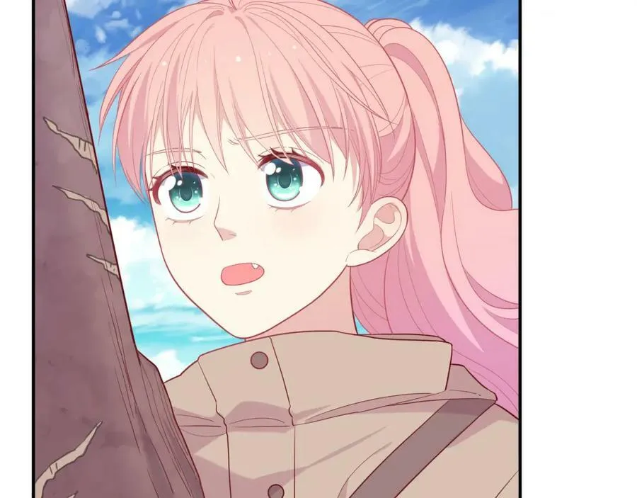 第333页