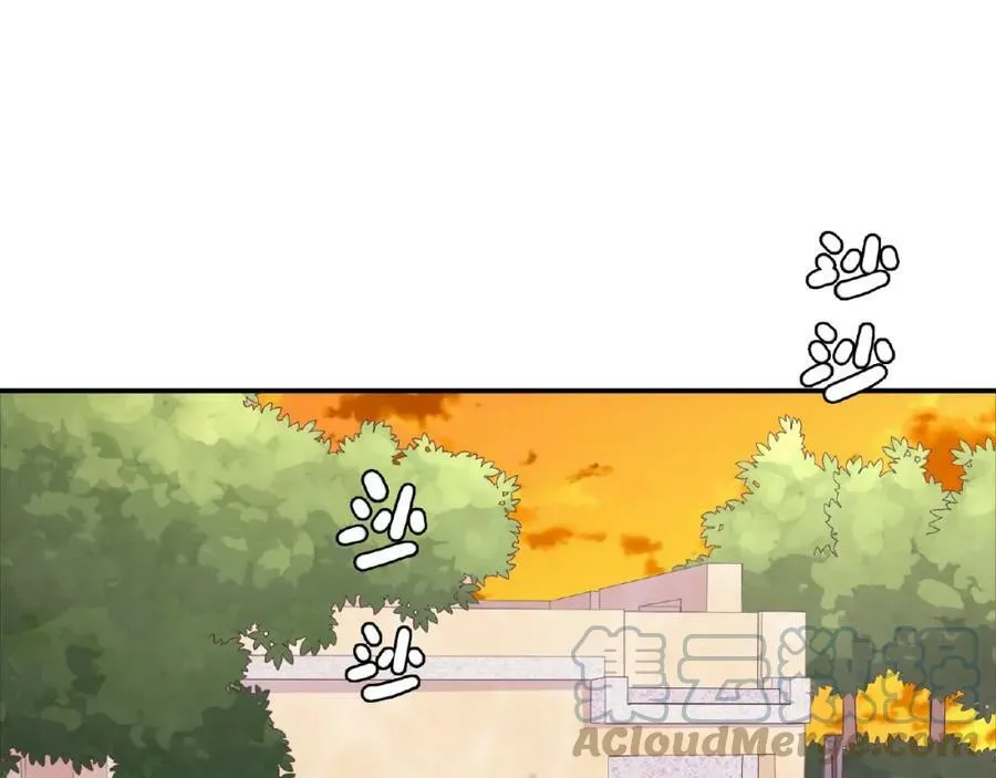 第216页