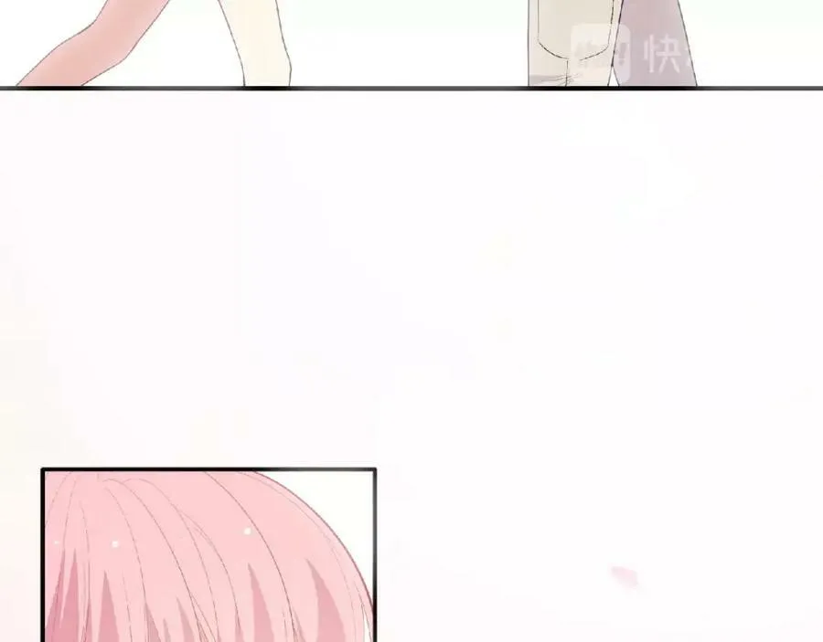 第231页