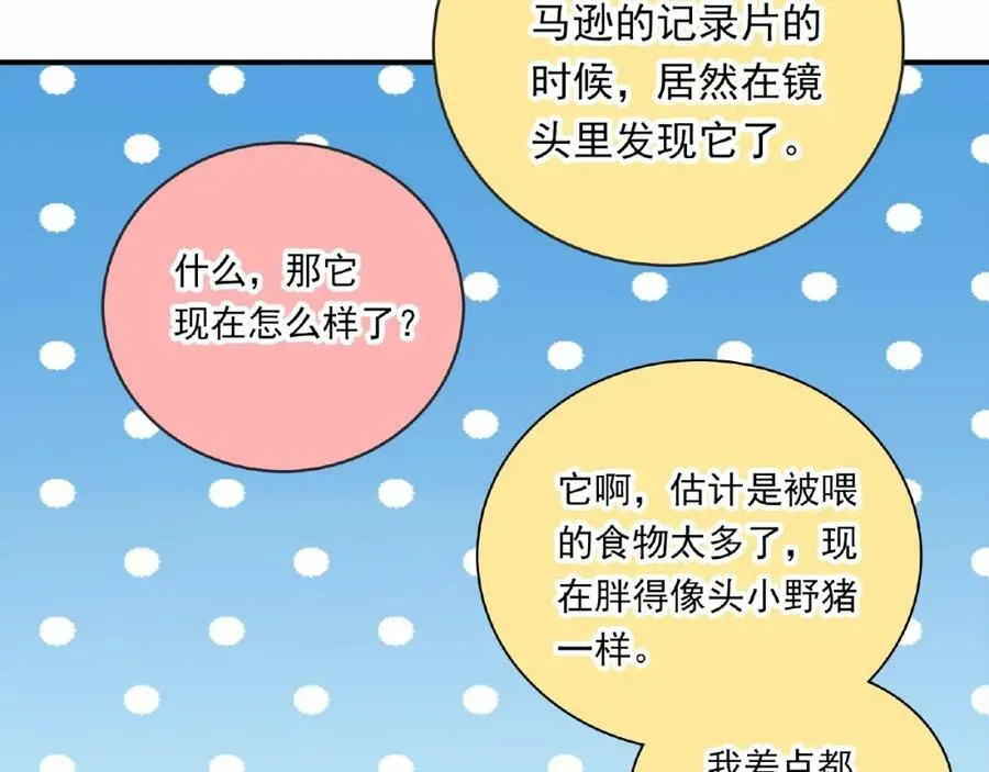 第237页