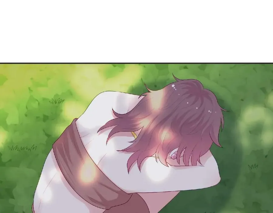 第255页