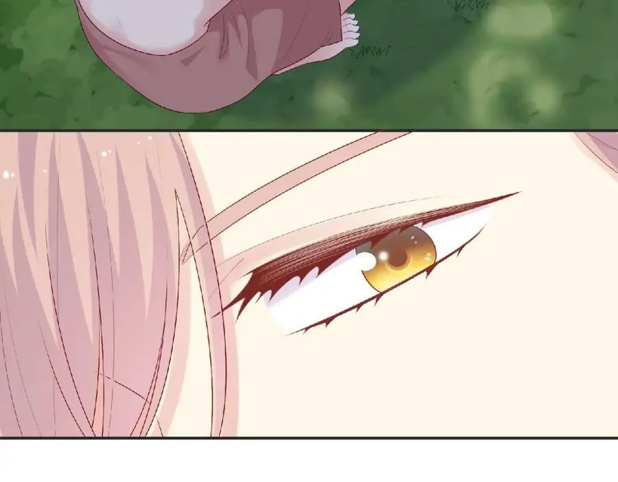 第258页