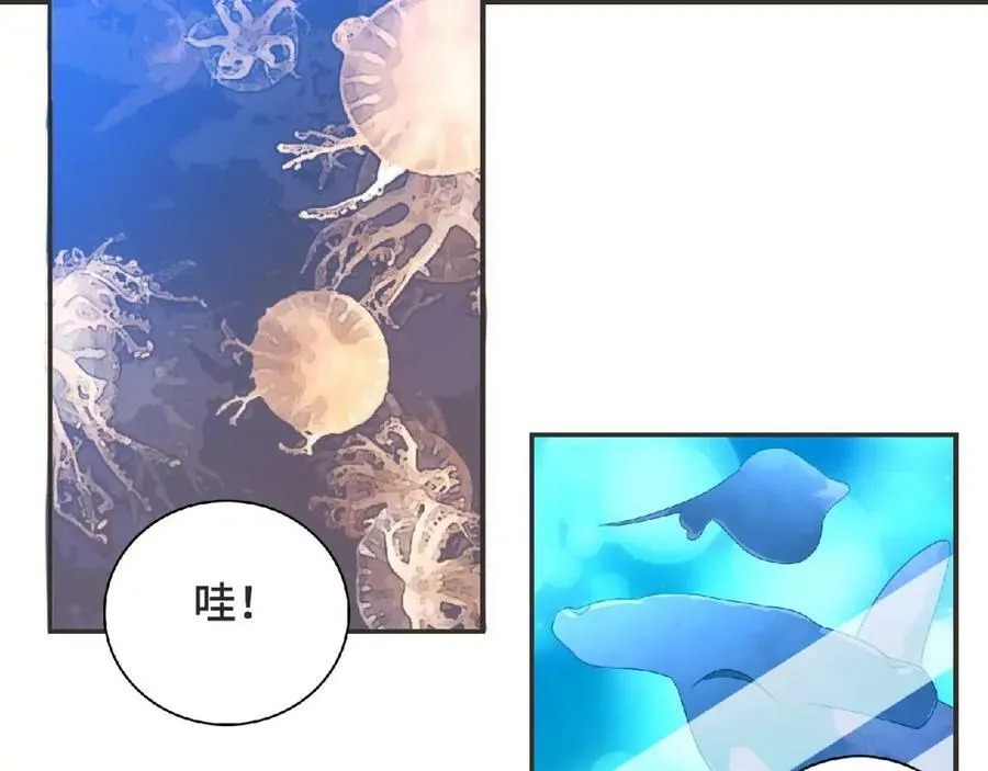 第294页