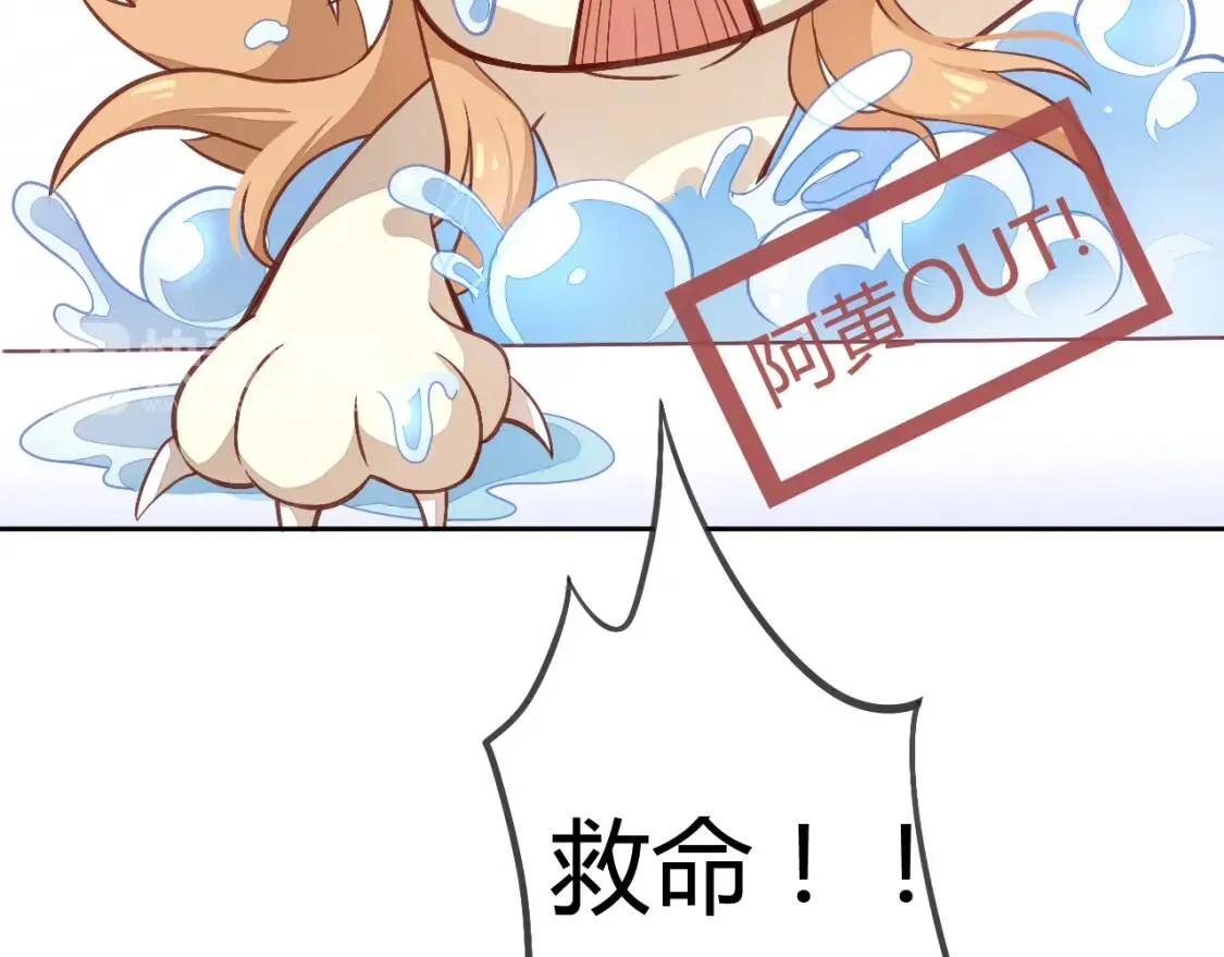 第141页