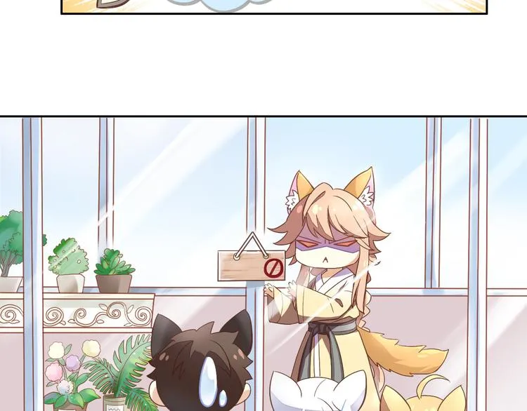 第237页