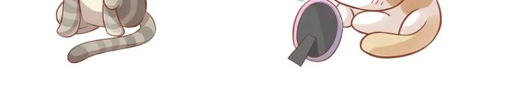 第258页