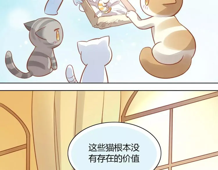 第234页