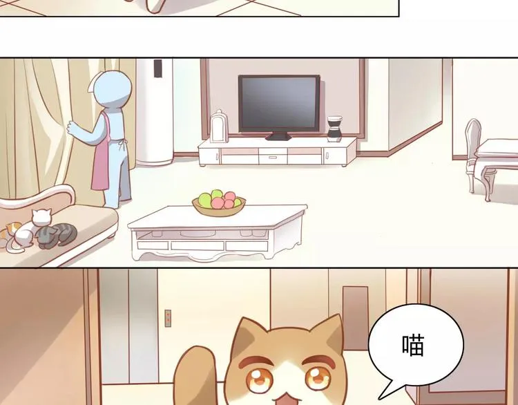第264页