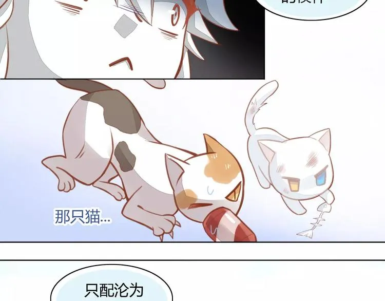 第225页