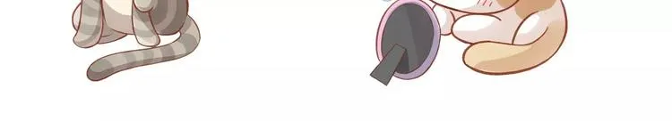 第315页