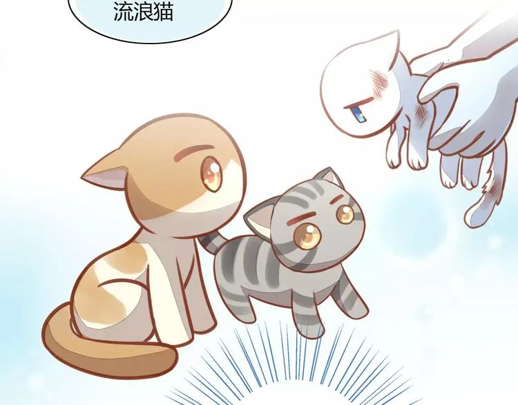 第228页