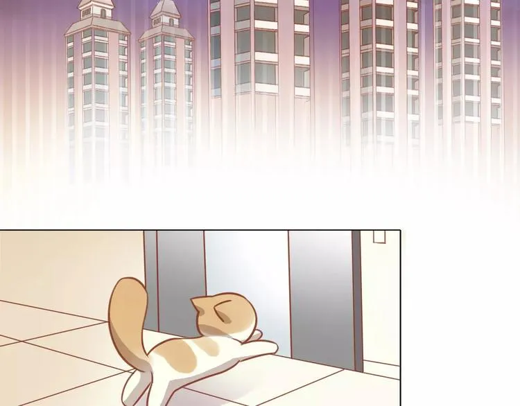 第261页