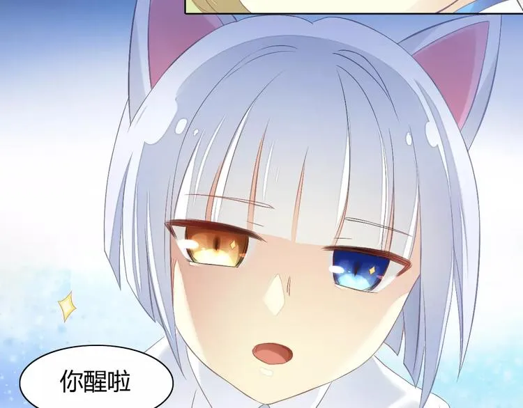 第207页