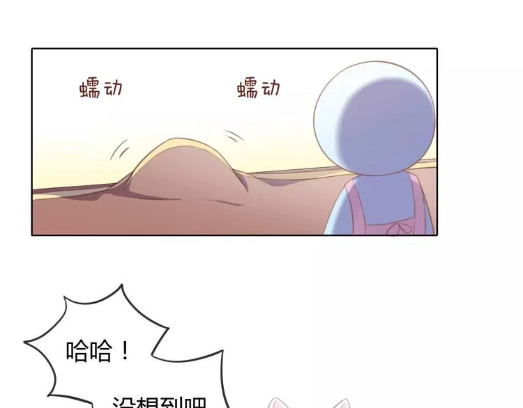 第204页