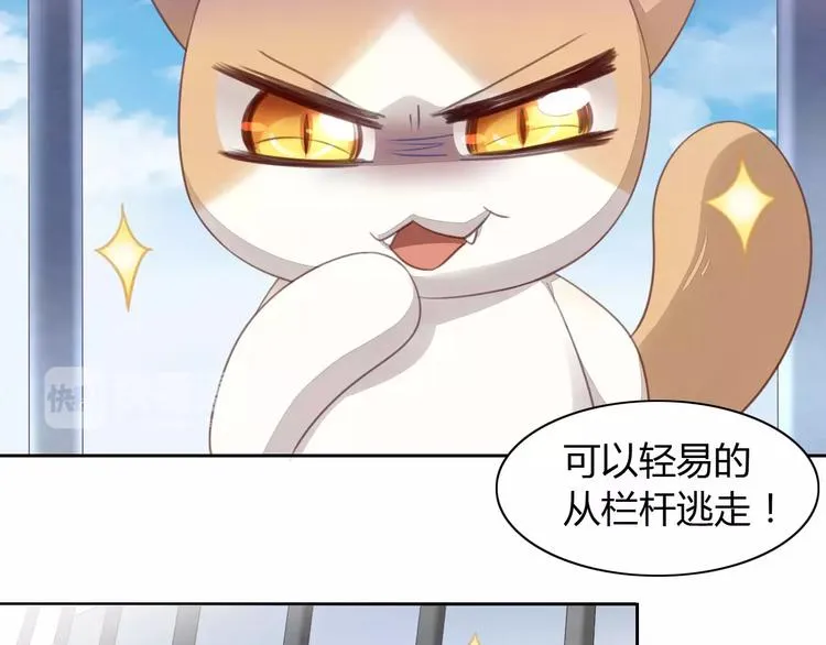 第237页
